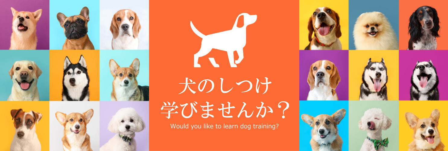 犬のしつけ学びま専科